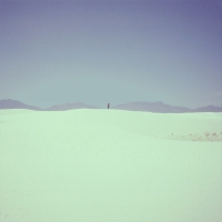 album